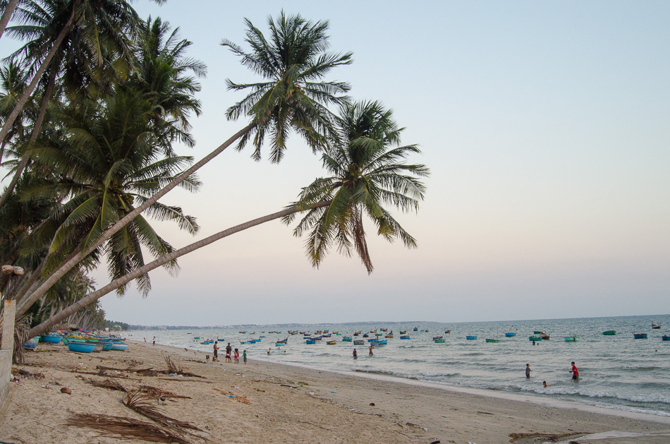 Palm trees at Mui Ne Beach