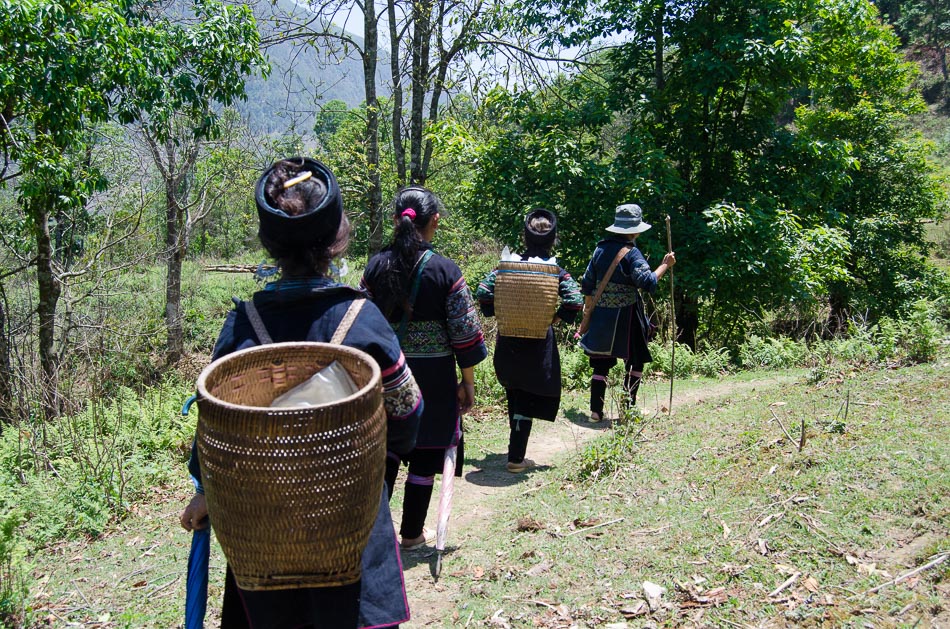 Hmong women showing us the way through the Sapa moutains in Vietnam